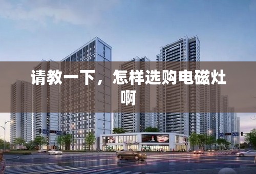 请教一下，怎样选购电磁灶啊
