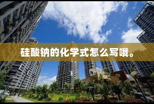 硅酸钠的化学式怎么写哦。