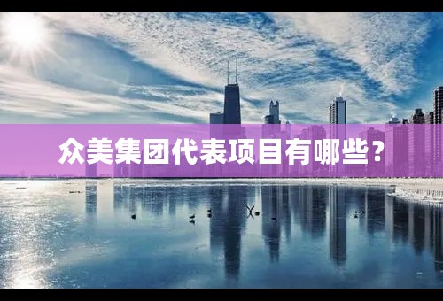 众美集团代表项目有哪些？