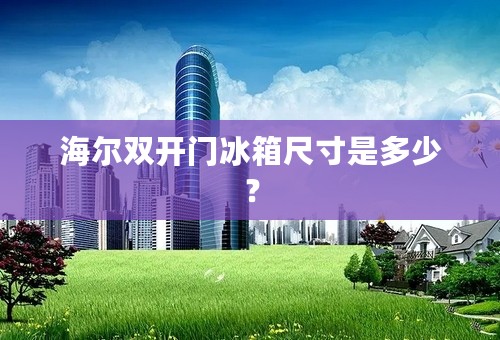 海尔双开门冰箱尺寸是多少？