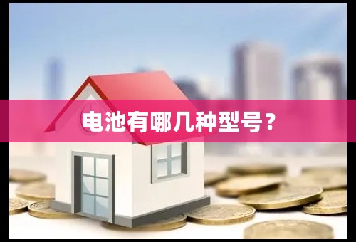 电池有哪几种型号？
