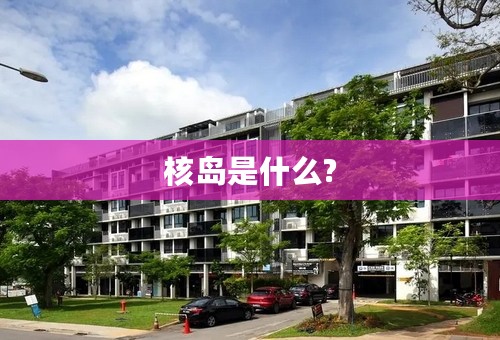 核岛是什么?