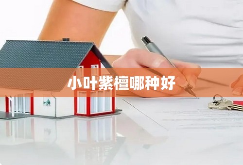 小叶紫檀哪种好
