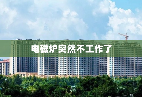 电磁炉突然不工作了