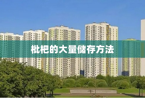 枇杷的大量储存方法