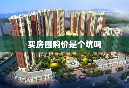 买房团购价是个坑吗