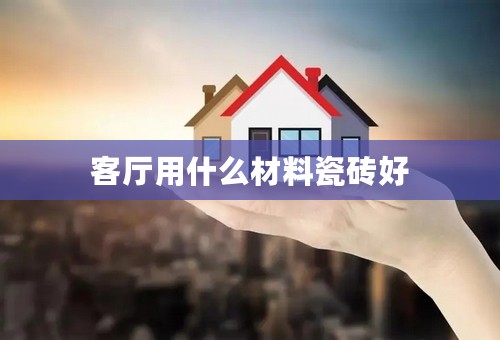 客厅用什么材料瓷砖好