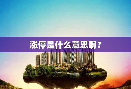 涨停是什么意思啊？
