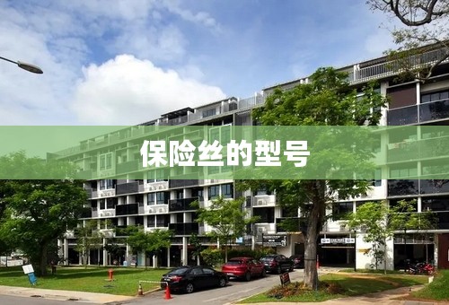 保险丝的型号