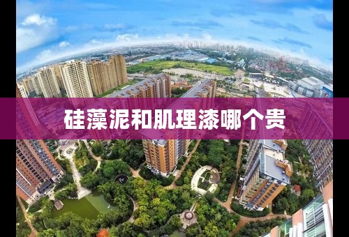 硅藻泥和肌理漆哪个贵