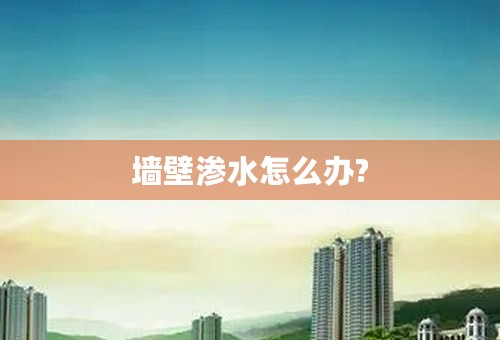 墙壁渗水怎么办?