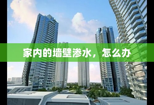 家内的墙壁渗水，怎么办