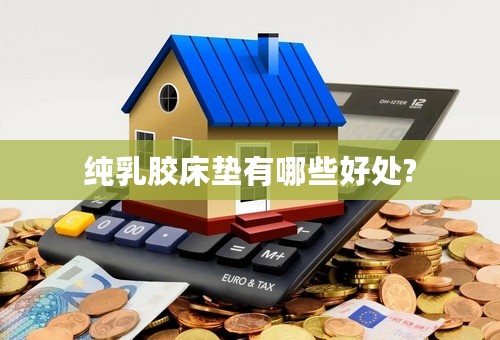 纯乳胶床垫有哪些好处?