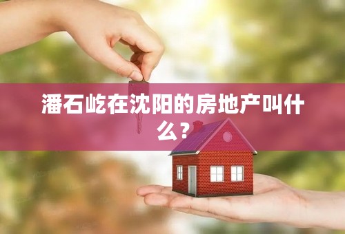 潘石屹在沈阳的房地产叫什么？