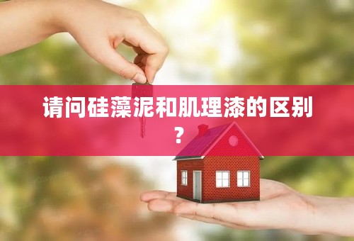 请问硅藻泥和肌理漆的区别？