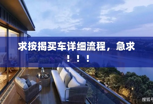 求按揭买车详细流程，急求！！！