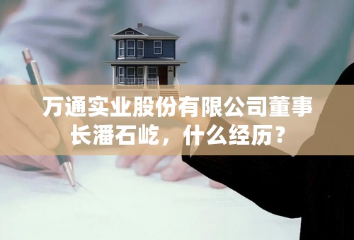 万通实业股份有限公司董事长潘石屹，什么经历？