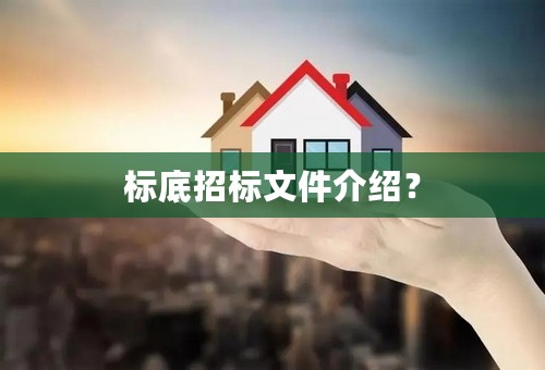标底招标文件介绍？