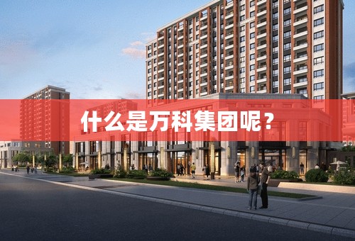 什么是万科集团呢？