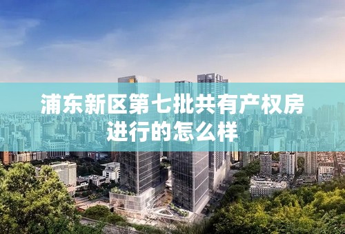 浦东新区第七批共有产权房进行的怎么样