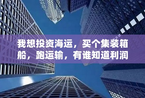我想投资海运，买个集装箱船，跑运输，有谁知道利润有多大，风险有多大吗