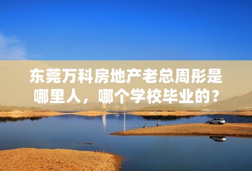 东莞万科房地产老总周彤是哪里人，哪个学校毕业的？
