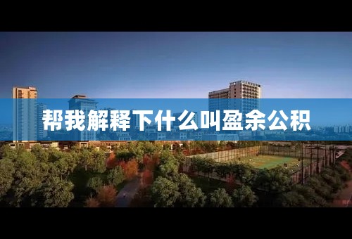 帮我解释下什么叫盈余公积