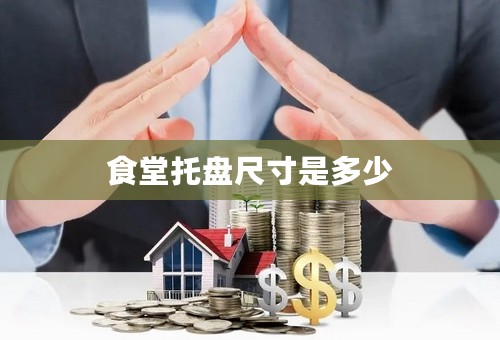 食堂托盘尺寸是多少