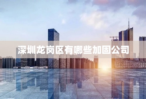 深圳龙岗区有哪些加固公司