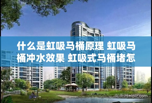 什么是虹吸马桶原理 虹吸马桶冲水效果 虹吸式马桶堵怎么办