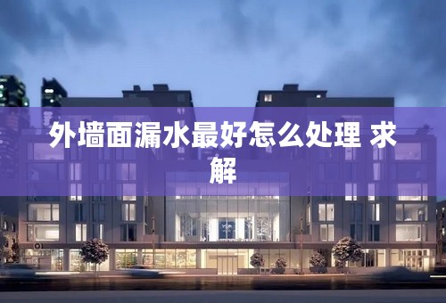 外墙面漏水最好怎么处理 求解