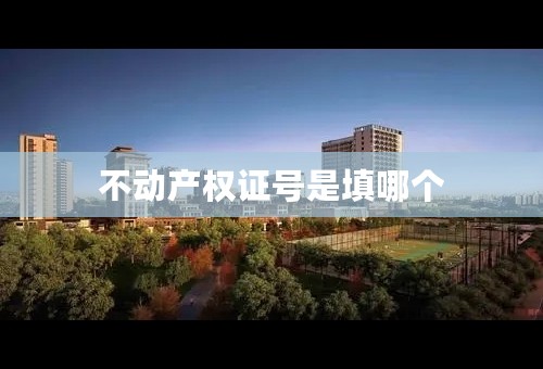 不动产权证号是填哪个