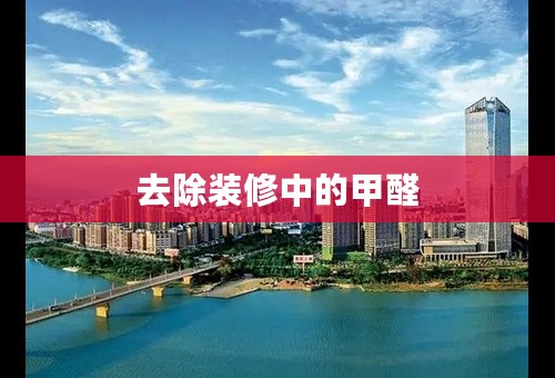 去除装修中的甲醛