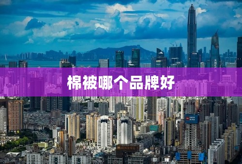 棉被哪个品牌好