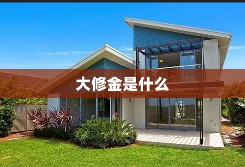 大修金是什么