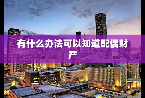 有什么办法可以知道配偶财产