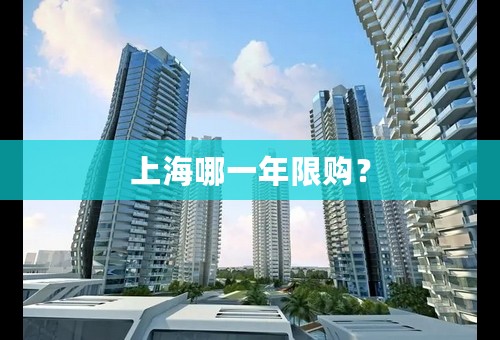 上海哪一年限购？