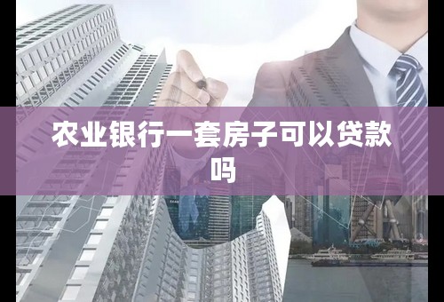 农业银行一套房子可以贷款吗