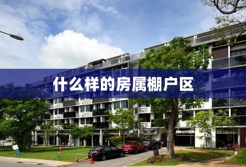 什么样的房属棚户区