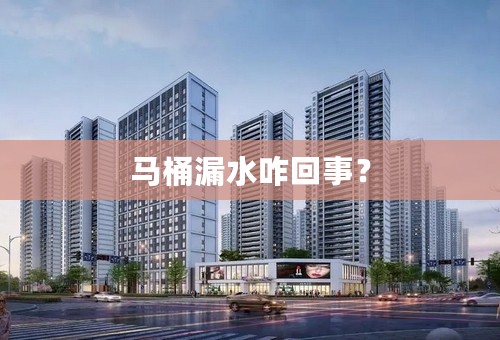 马桶漏水咋回事？