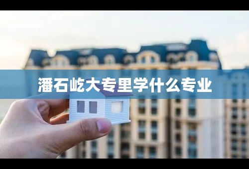 潘石屹大专里学什么专业