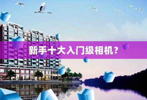 新手十大入门级相机？