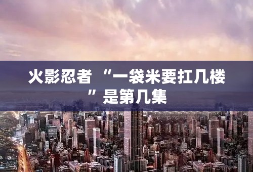 火影忍者 “一袋米要扛几楼”是第几集