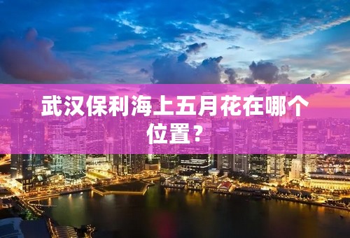 武汉保利海上五月花在哪个位置？