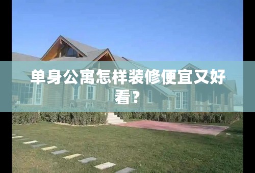 单身公寓怎样装修便宜又好看？