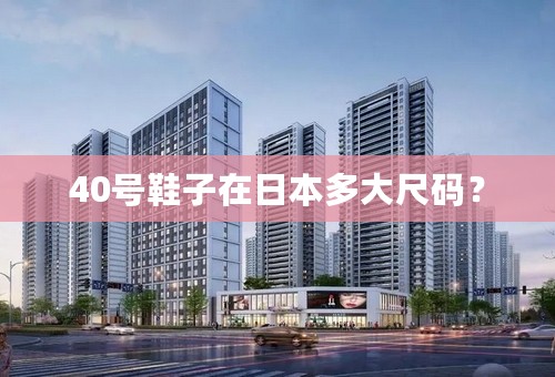 40号鞋子在日本多大尺码？