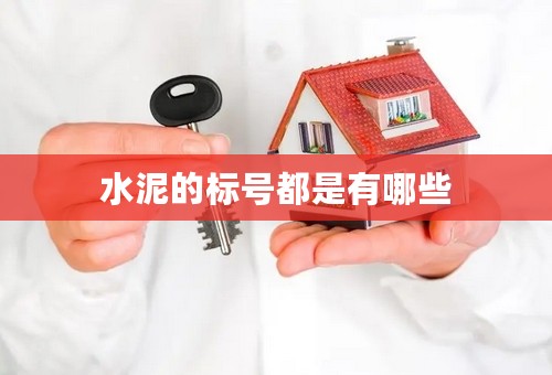 水泥的标号都是有哪些