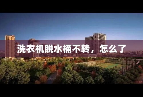 洗衣机脱水桶不转，怎么了