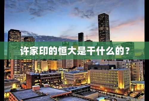 许家印的恒大是干什么的？