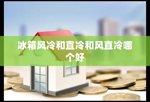 冰箱风冷和直冷和风直冷哪个好